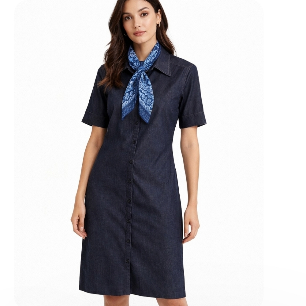 Cleo | Lux Button-Down Demin Shirt  Dress - Picture 5 of 8
